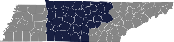 scarlett-counties